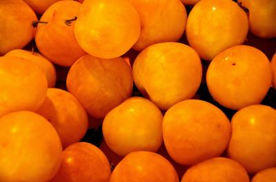 Apricot 1534491 1280
