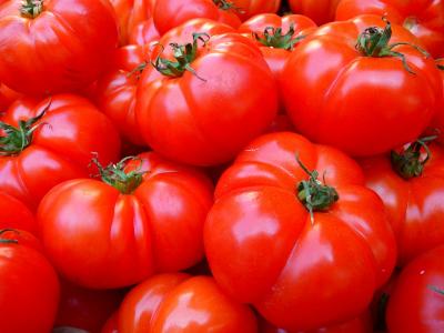 Tomatoes 5356 1280