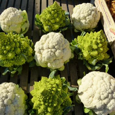 Cauliflower 68791 1280