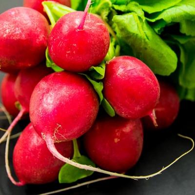 Radishes 931934 640